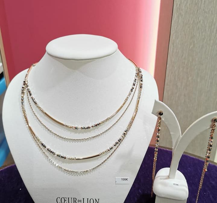 Bijoux cœur de lion 
 Première partie